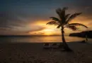Guadeloupe, Basse-Terre, Pointe-à-Pitre, volcano, beach, palm, waterfall, Creole, island
