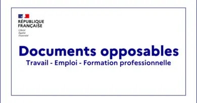 Documents opposables | Travail - Emploi - Formation professionnelle | Travail-emploi.gouv.fr | Ministère du Travail, de la Santé, des Solidarités et des Familles