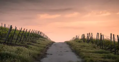Occitanie, Toulouse, Montpellier, landscape, sea, mountain, vineyard, canal