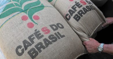 Droits de douane : la Chine vole au secours du café brésilien