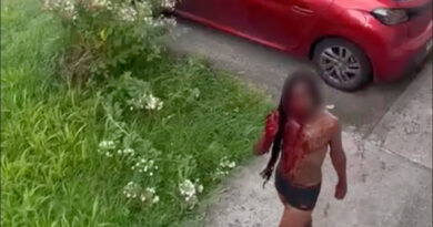 « Du sang partout » : en Martinique, une scène terrifiante dans une résidence