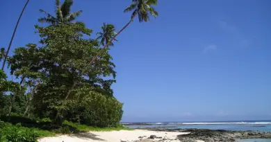 Martinique, Fort-de-France, beach, volcano, palm, rainforest, Creole, boat, island