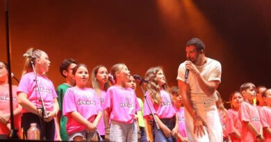 EN IMAGES. Revivez la Nuit de la Fête du blé avec Amir, Magic System, Manau à Pleudihen-sur-Rance