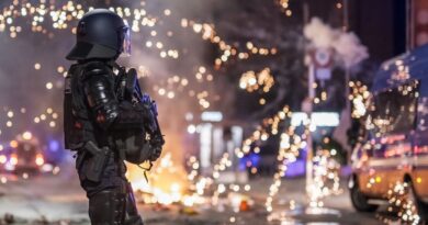 EN IMAGES. Violences urbaines à Lausanne : pourquoi la ville suisse est en proie à des scènes d'émeutes ?