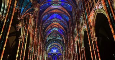 EN IMAGES : un spectacle immersif exceptionnel habille de sons et de lumières la cathédrale de Strasbourg - ici