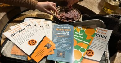 ENQUÊTE. "Le Bitcoin, vous voulez en savoir plus ?", des spécialistes vous aident à comprendre les cryptomonnaies et éviter les arnaques
