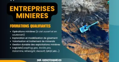 EXPADD propose des formations professionnelles aux entreprises minières en Afrique