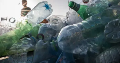 Échec des discussions autour d’un traité contre la pollution plastique à Genève, et maintenant ?