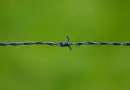Écologie, nature et extrêmes droites : entre carbofascisme et écofascisme – ritimo