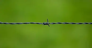 Écologie, nature et extrêmes droites : entre carbofascisme et écofascisme – ritimo