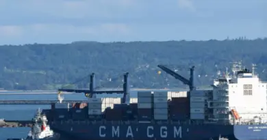 Economie : conflit social au port de Dégrad-des-Cannes (MAJ)