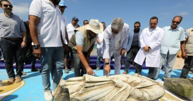 Égypte : des vestiges vieux de 2 000 ans refont surface au large d’Alexandrie