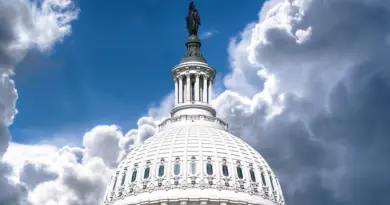 politics, government, parliament, election, voting, democracy, politician, president