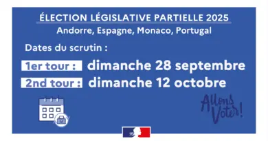 Élections législatives partielles