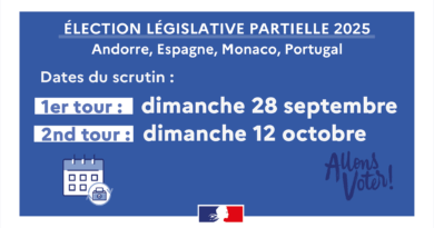 Élections législatives partielles