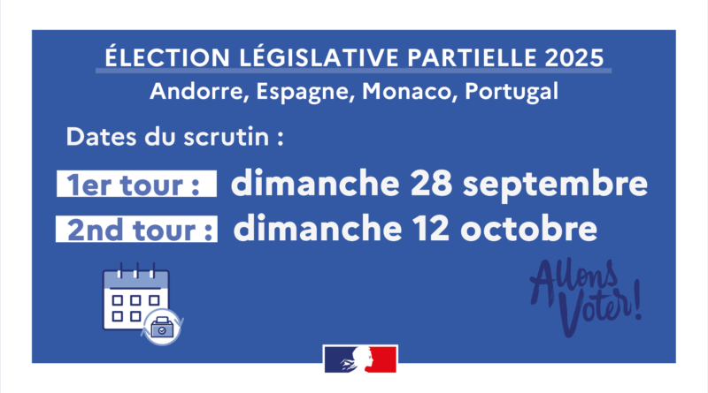 Élections législatives partielles