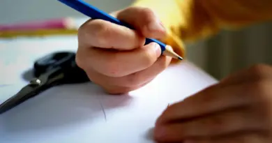 Élèves, enseignants, écoles : les chiffres-clés de cette rentrée 2025 à La Réunion