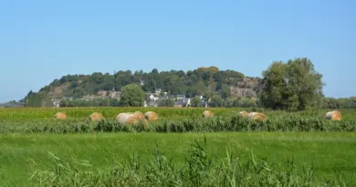 Normandie, Caen, Rouen, Mont-Saint-Michel, cliff, beach, cow, landscape, D-Day