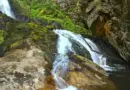 En Corrèze, quatre cascades à quelques kilomètres de Tulle méritent le détour