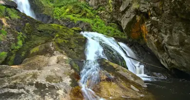 En Corrèze, quatre cascades à quelques kilomètres de Tulle méritent le détour