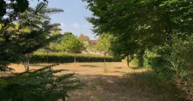 En Creuse, le parc du château d'Arfeuille ouvert au public - ici