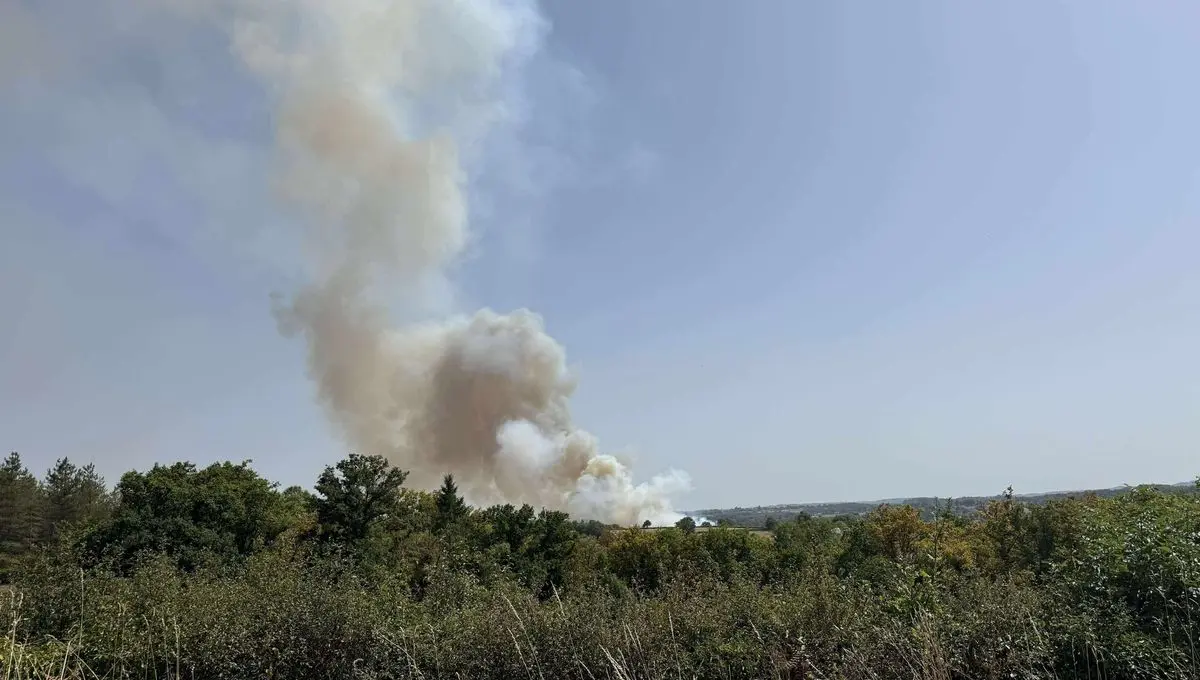 En Creuse, une vingtaine d'habitants évacués après l'incendie qui a brûlé 17 hectares de végétation à Pionnat - ici