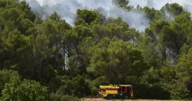En direct. Vague de chaleur : risque élevé d'incendie dans 29 départements, 14 en vigilance rouge canicule