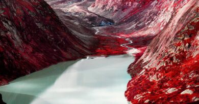 En images: le mois de la photo en Suisse - Le Temps
