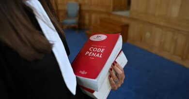 Énervé par un jeu vidéo, il casse la TV de sa grand-mère puis s’en prend aux forces de