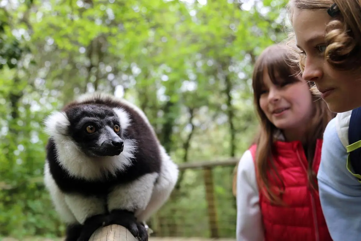 Enfants : en milieu naturel ou dans les parcs, un guide piste les meilleurs lieux de rencontre avec les animaux