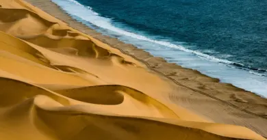 Nouvelle-Aquitaine, Bordeaux, Biarritz, dune, ocean, vineyard, forest, landscape