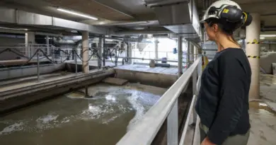 Environnement. « Jusqu’à 70 % des interventions de débouchage » : les lingettes, cauchemar des réseaux d’eau