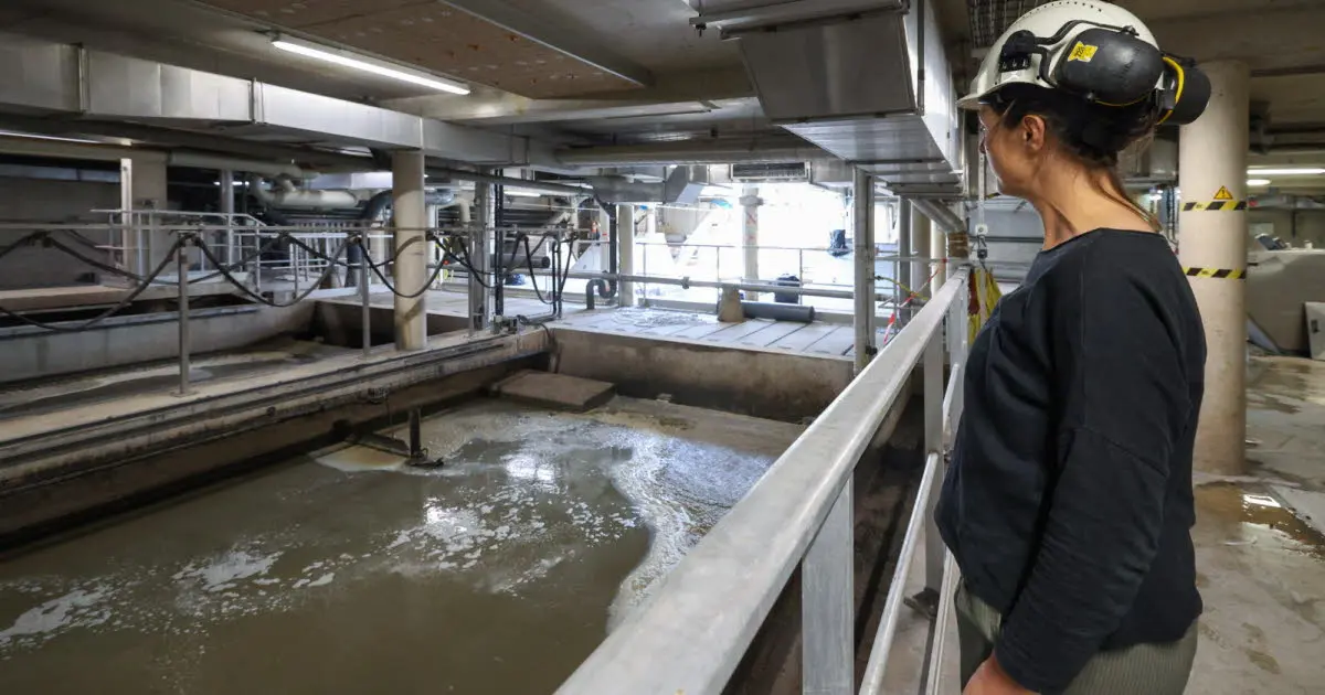 Environnement. « Jusqu’à 70 % des interventions de débouchage » : les lingettes, cauchemar des réseaux d’eau