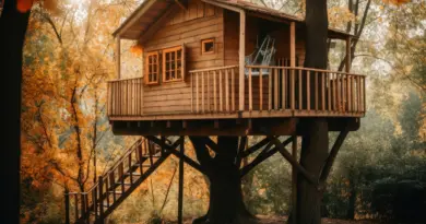 Cabane en bois dans les arbres.