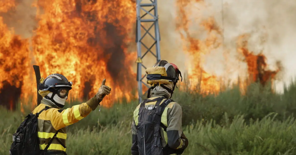 Espagne. Incendies : le Premier ministre veut un « pacte national face à l'urgence climatique »