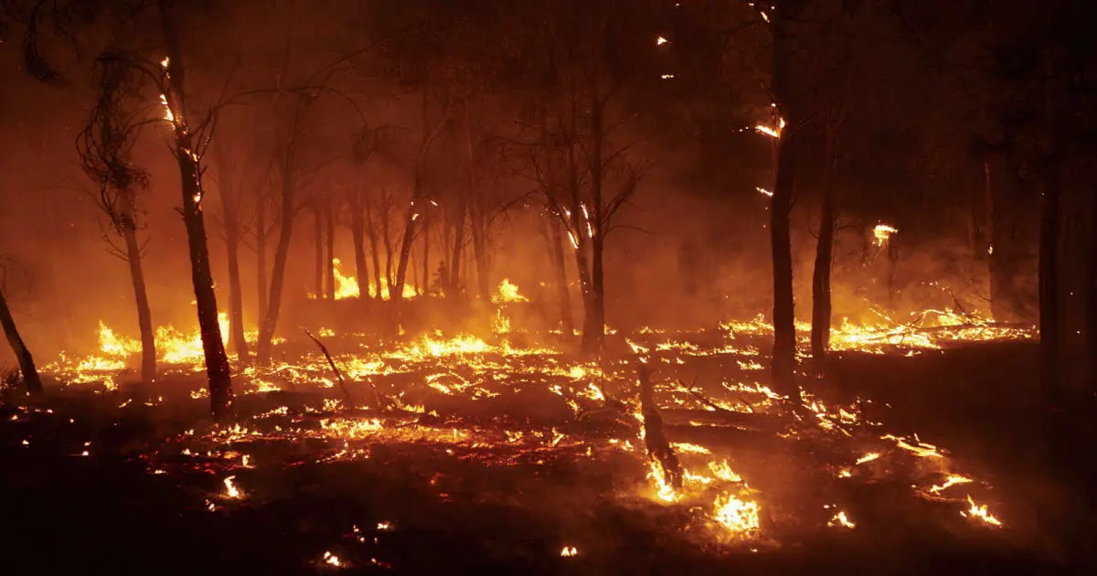 Espagne. Un volontaire meurt en luttant contre un incendie dans le nord-ouest