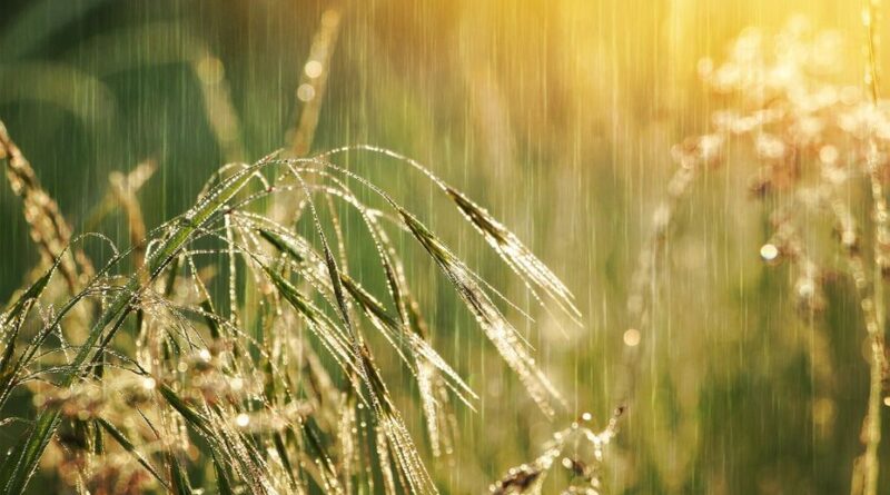 Est-ce déjà la fin de l’été en Bourgogne-Franche-Comté ? La météo met le cap vers la pluie et la fraîcheur