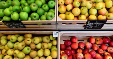 Et si les droits de douane imposés par Donald Trump étaient une aubaine pour les pommes françaises ?