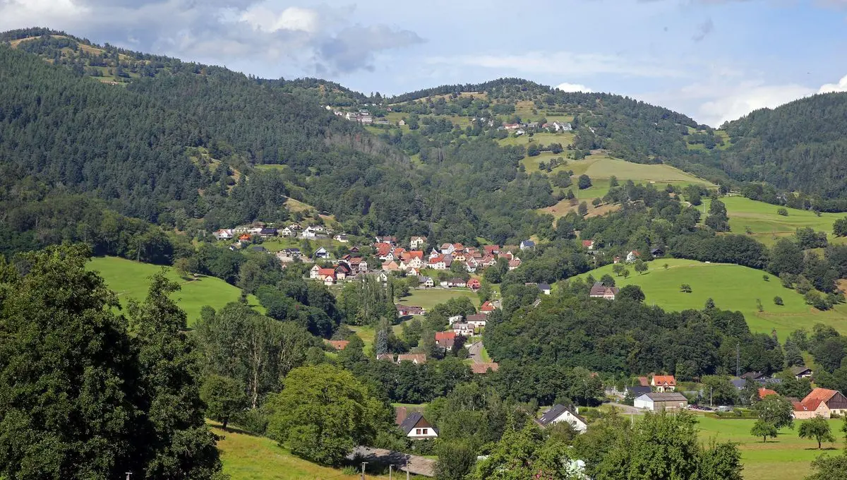 Étienne Hassenfratz : sur les traces des bûcherons à Grendelbruch - ici