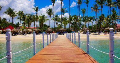 Martinique, Fort-de-France, beach, volcano, palm, rainforest, Creole, boat, island