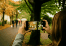 Expo "Elbeuf au naturel" : votez pour votre photo préférée - Mairie d'Elbeuf