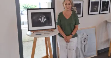 Sophie Dardenne et ses oeuvres