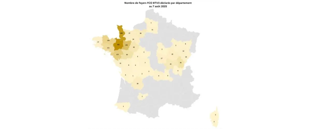 FCO sérotypes 3 & 8 ET MHE : au 07-08-25 Vaccination souhaitable et vigilance
