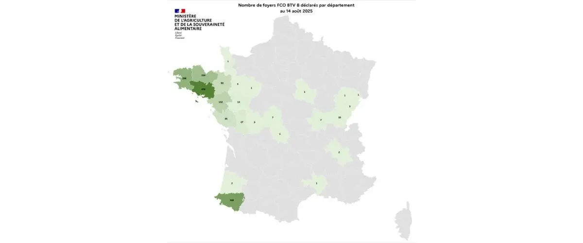 FCO sérotypes 3 & 8 ET MHE : au 14-08-25 Vaccination souhaitable et vigilance
