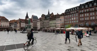 Grand Est, Strasbourg, Reims, vineyard, Alsace, Vosges, forest, cathedral, village