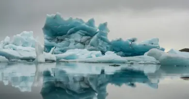 Face à la crise écologique, que peut la poésie ?