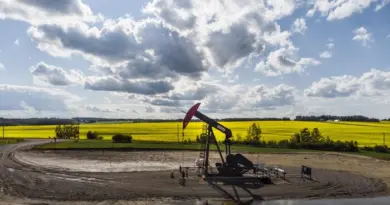 Un chevalet de pompage extrait du pétrole et du gaz d'une tête de puits avec un champ de canola en arrière-plan près de Cremona, en Alberta, le mardi 15 juillet 2025.