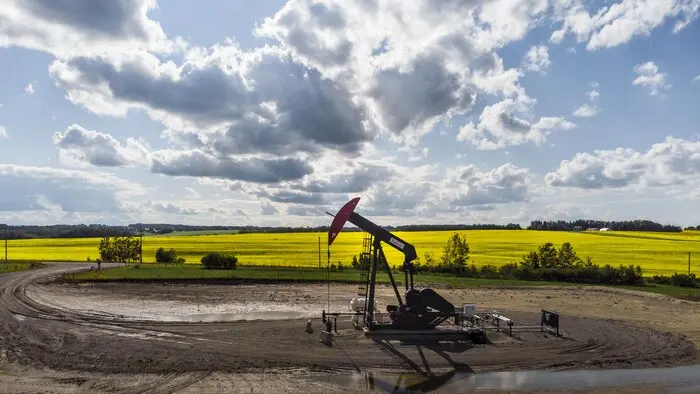 Un chevalet de pompage extrait du pétrole et du gaz d'une tête de puits avec un champ de canola en arrière-plan près de Cremona, en Alberta, le mardi 15 juillet 2025.