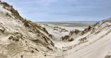 Nouvelle-Aquitaine, Bordeaux, Biarritz, dune, ocean, vineyard, forest, landscape