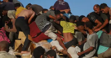 Famine à Gaza : les chiffres pour mesurer l’ampleur de la catastrophe humanitaire